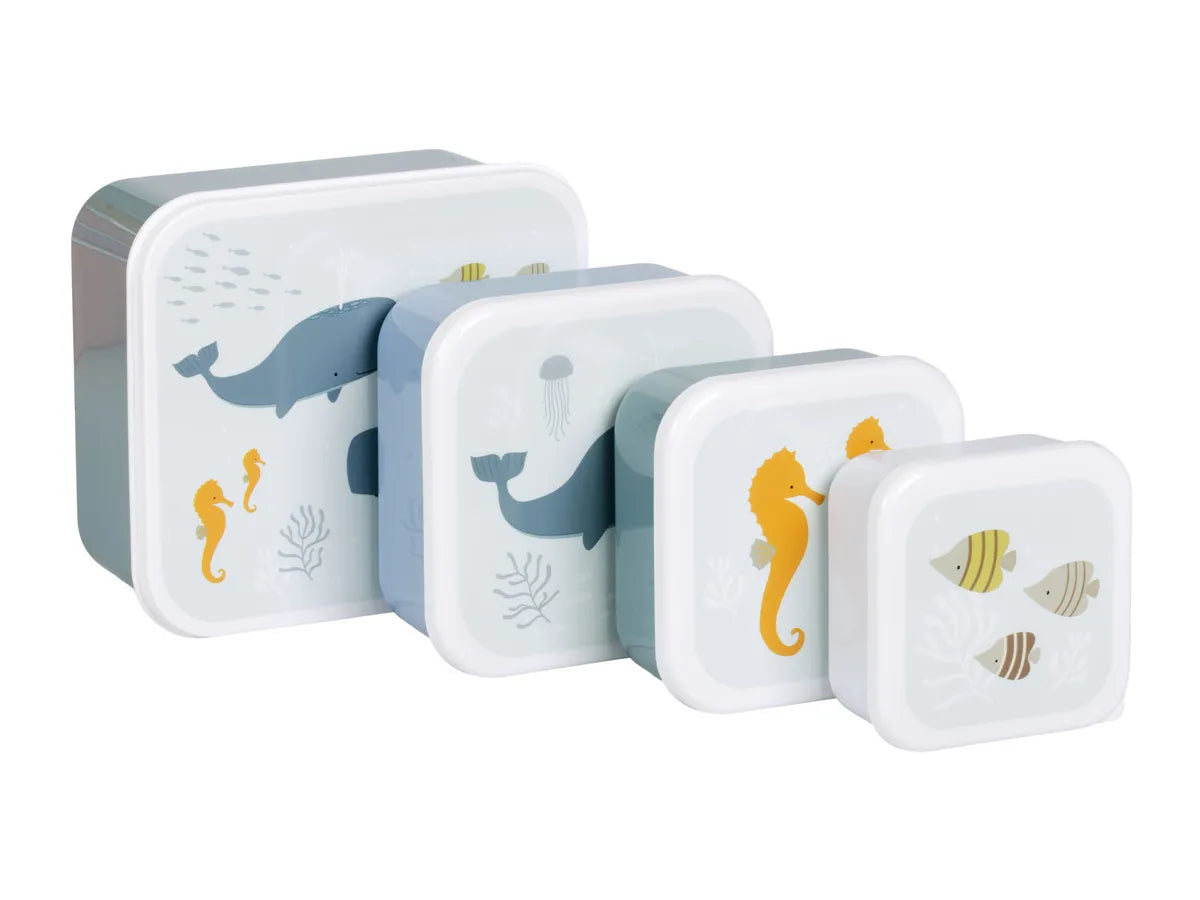Pack de 4 Boîtes à Goûter et Déjeuner - Océan