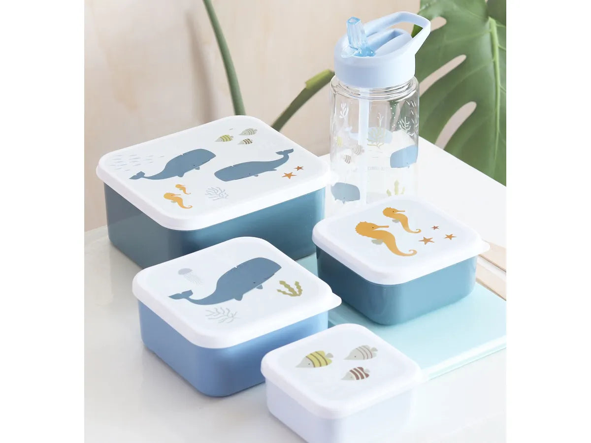 Pack de 4 Boîtes à Goûter et Déjeuner - Océan