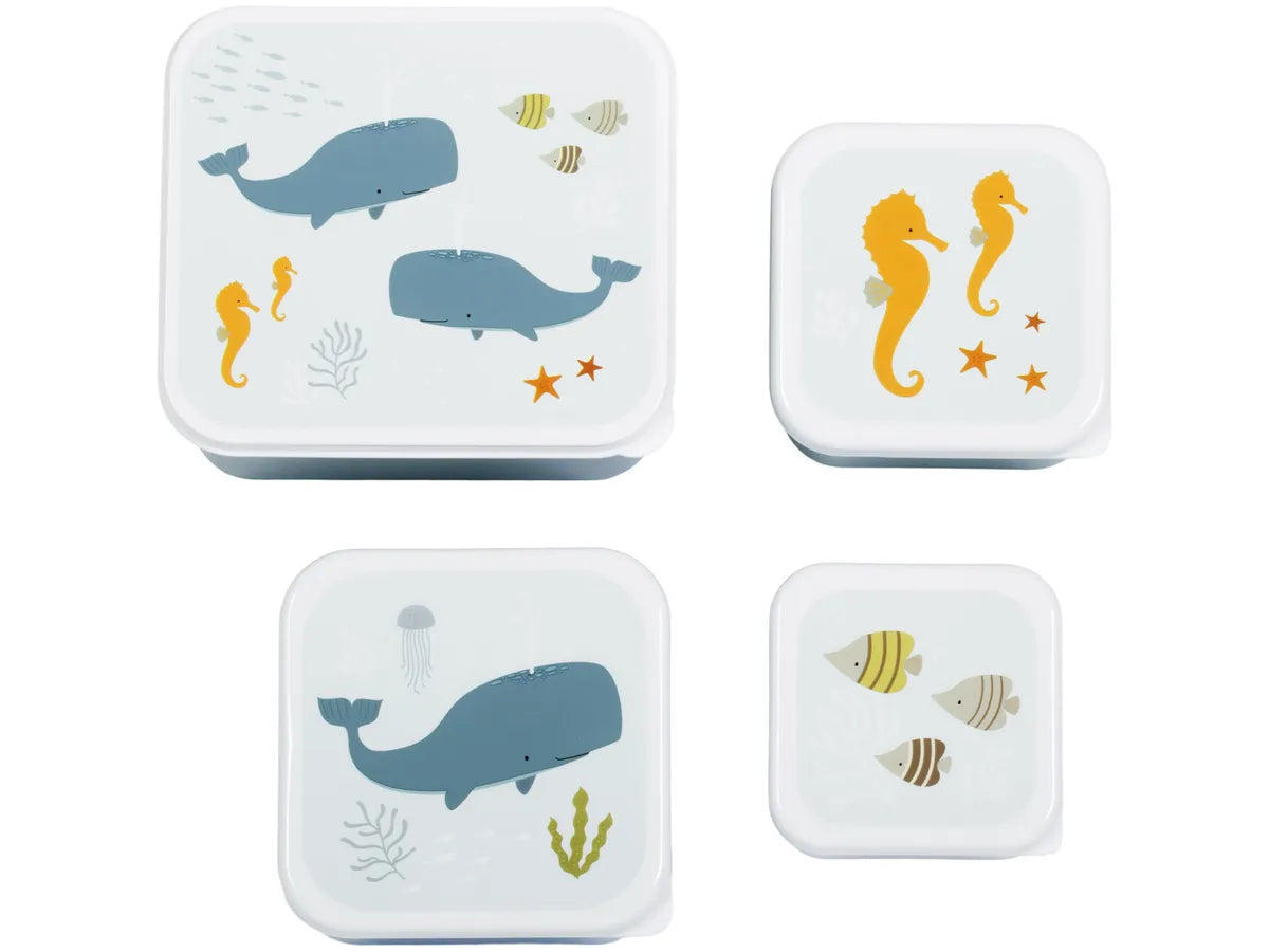 Pack de 4 Boîtes à Goûter et Déjeuner - Océan