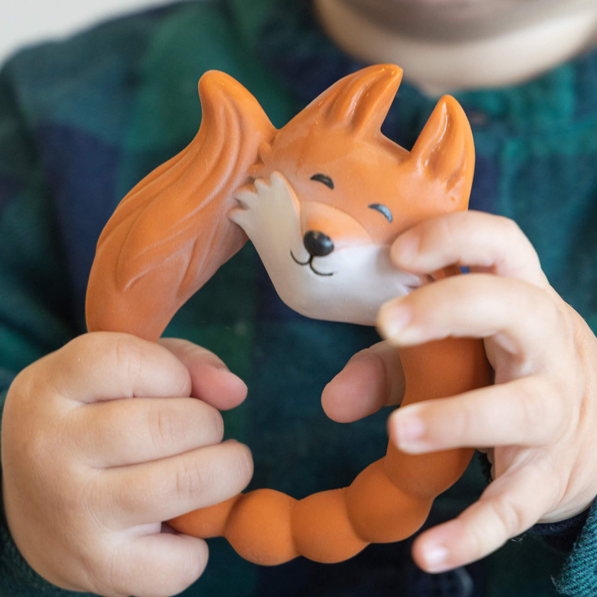Anneau de dentition Renard