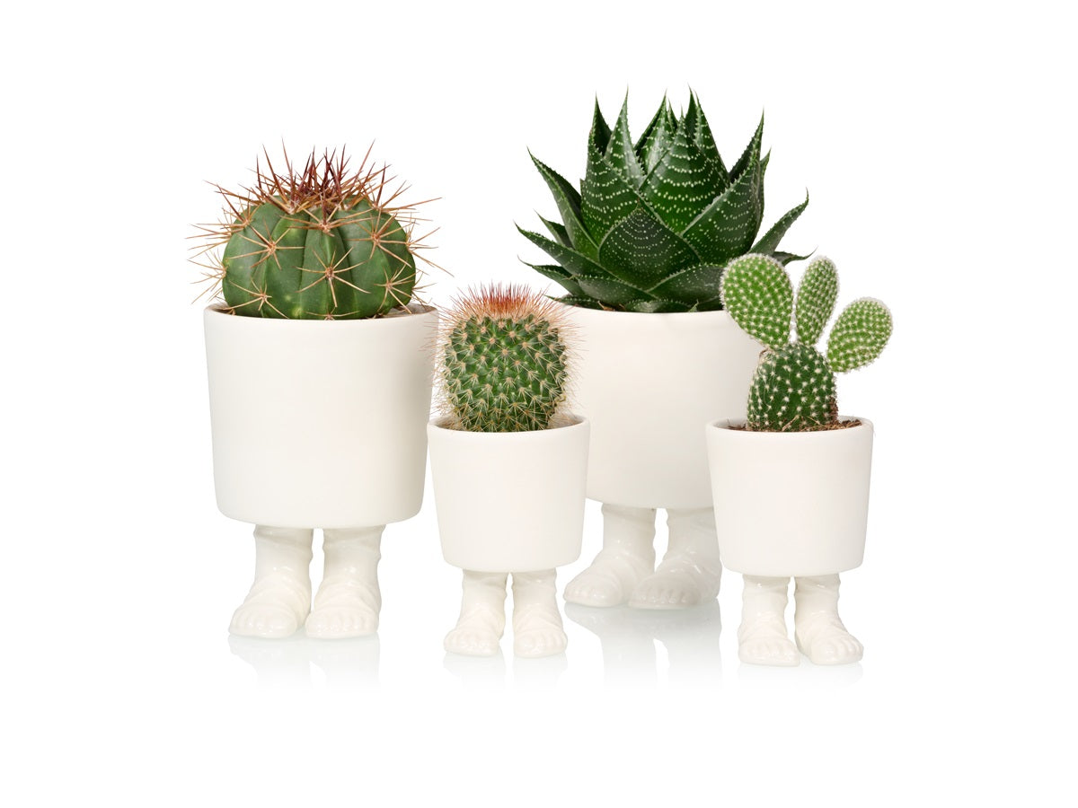 pot de fleur sandales de gladiateur bitten