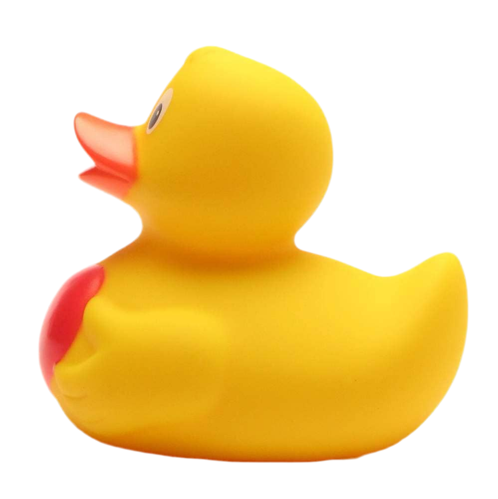 Canard avec Cœur