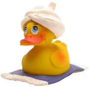 canard alibaba lanco