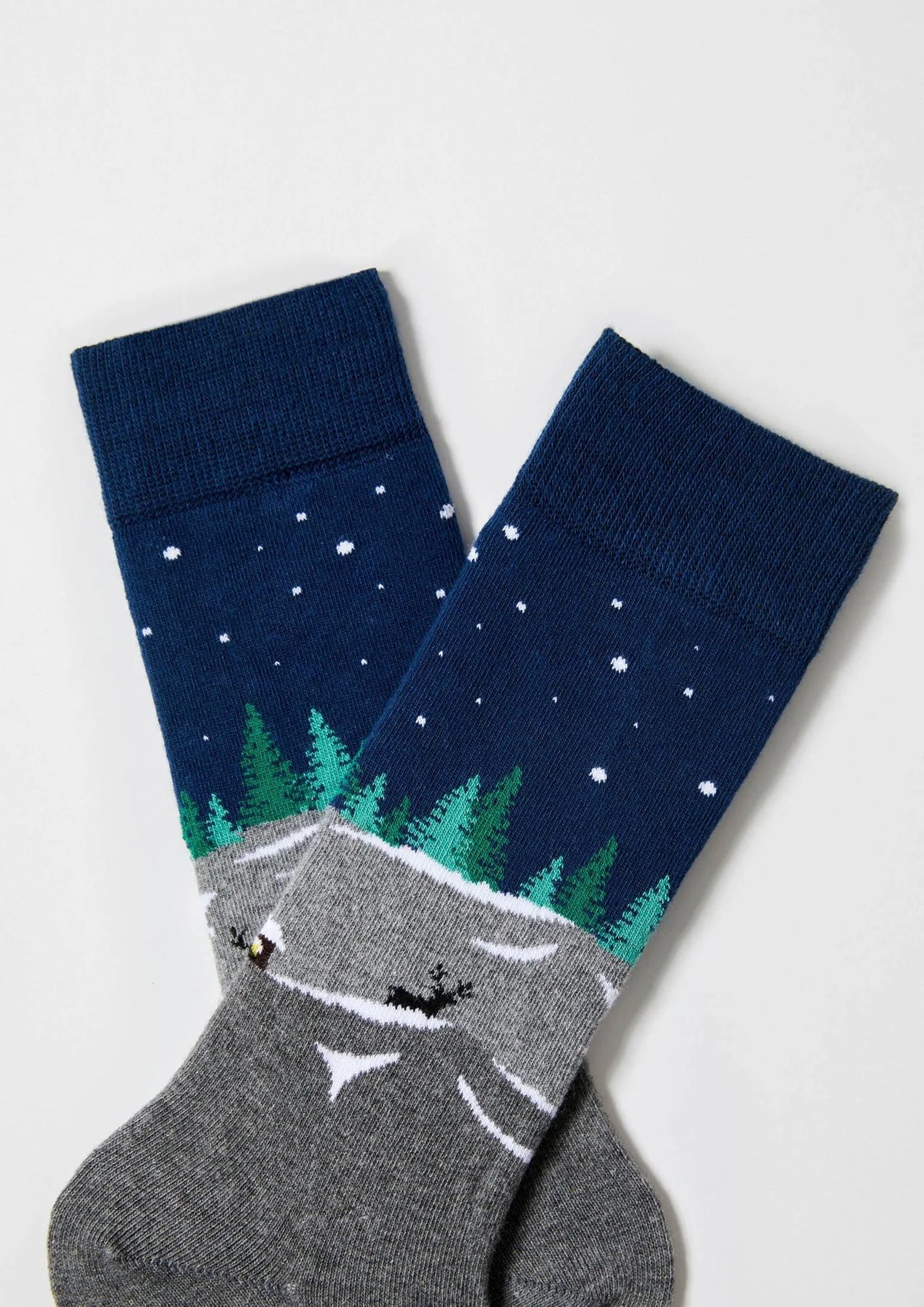 Chaussettes BeWinter