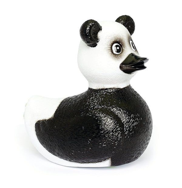 Panda-eend