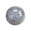 Beachball - Blue - Daisy Flower