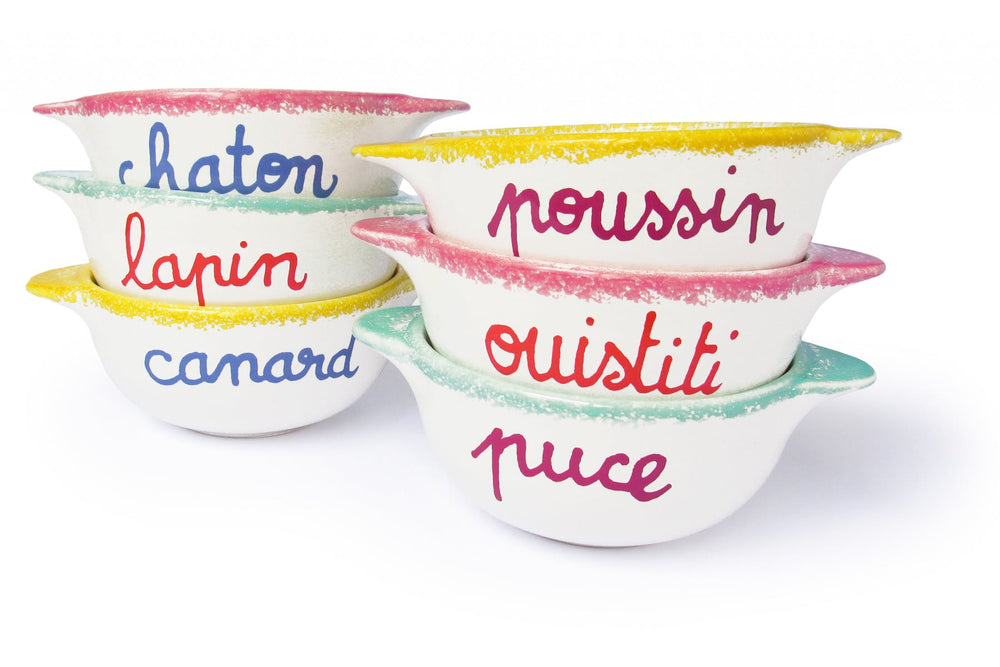 Breton Bowl-kitten 