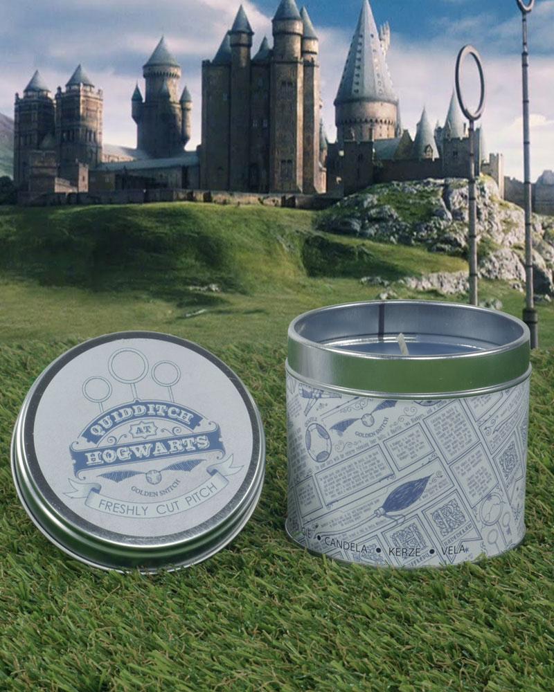 Harry Potter-kaars - Zwerkbal