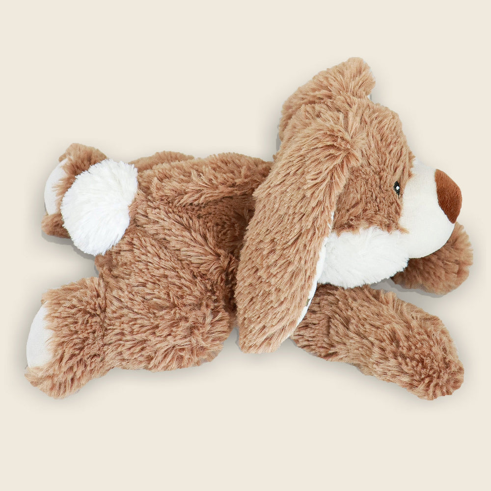 Lapin Étoilé Bouillotte Warmies