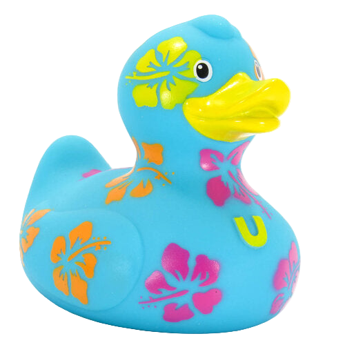 Hawaiian Duck