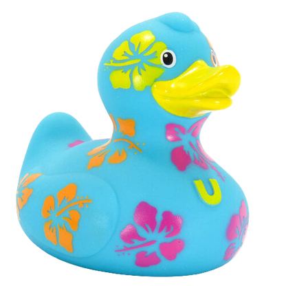 Hawaiian Duck