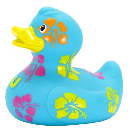 Hawaiian Duck
