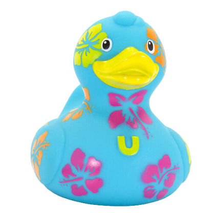 Hawaiian Duck