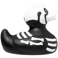 Canard Rayon X