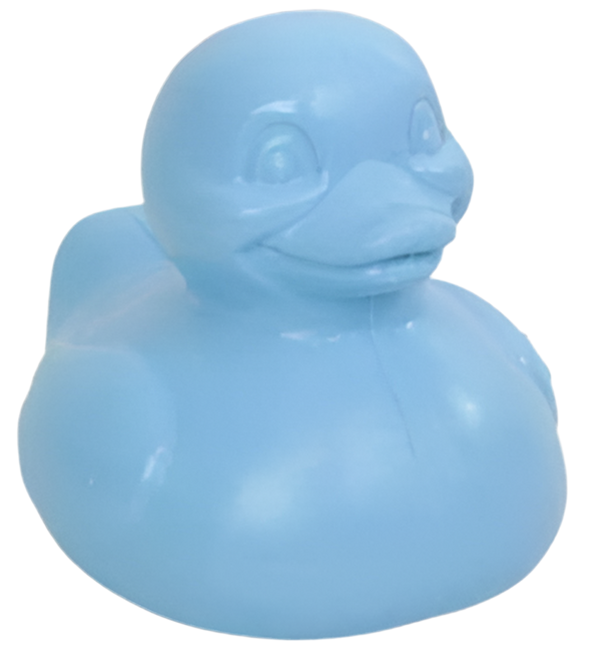 Canard Bleu The Good Duck