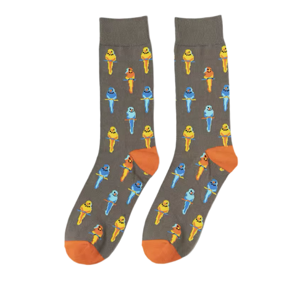 chaussettes perroquets exotiques mrcol