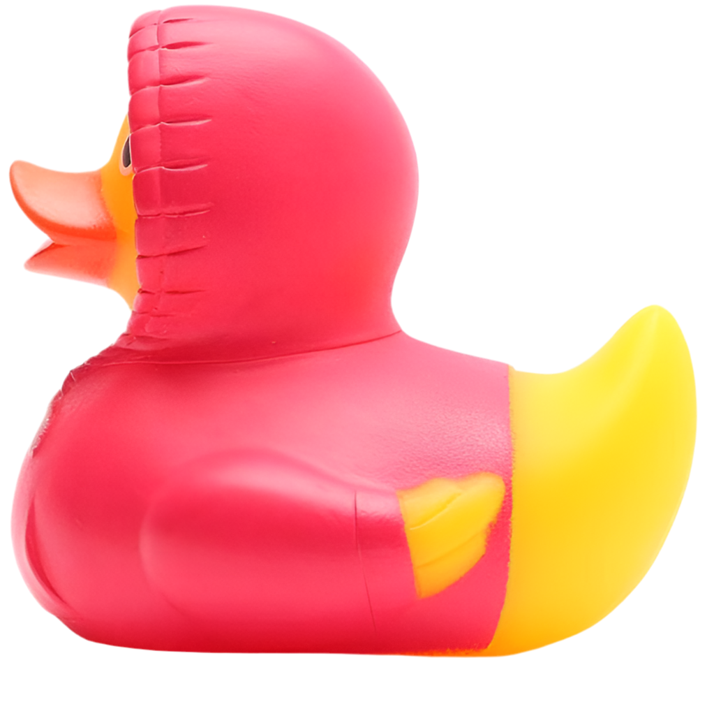 Duck Hoodie - Pink