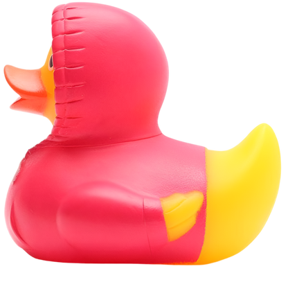 Duck Hoodie - Pink