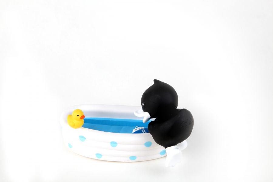Cadre Photo Canard Noir