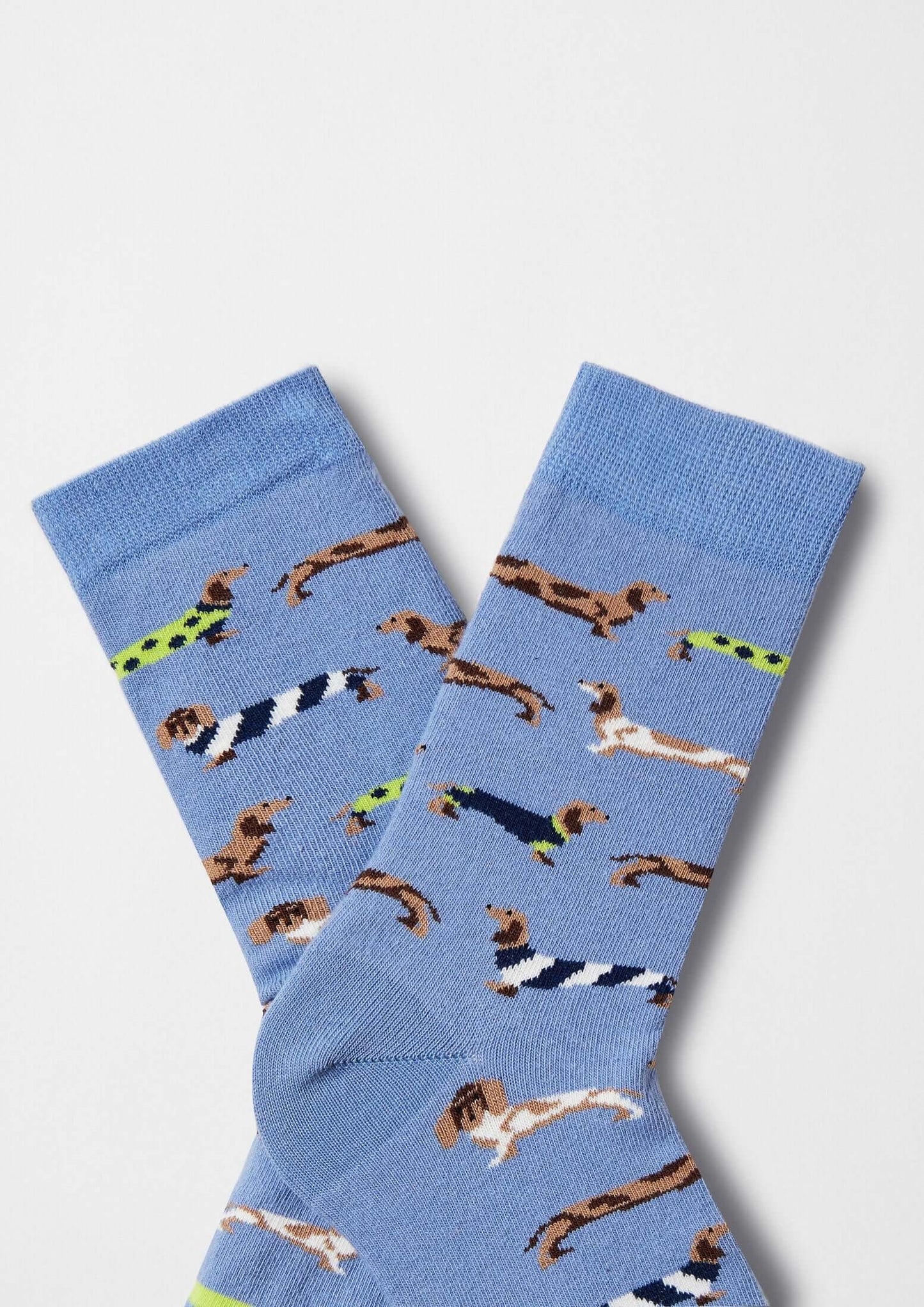 Chaussettes BePets Teckels Bleu