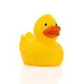 Canard de Course