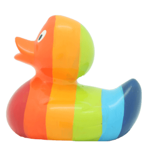 Canard Arc en Ciel