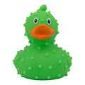 Ente Kaktus