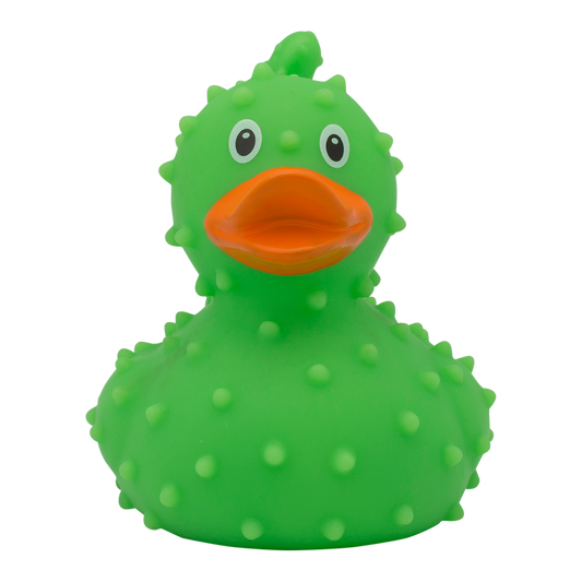 canard-cactus-lilalu