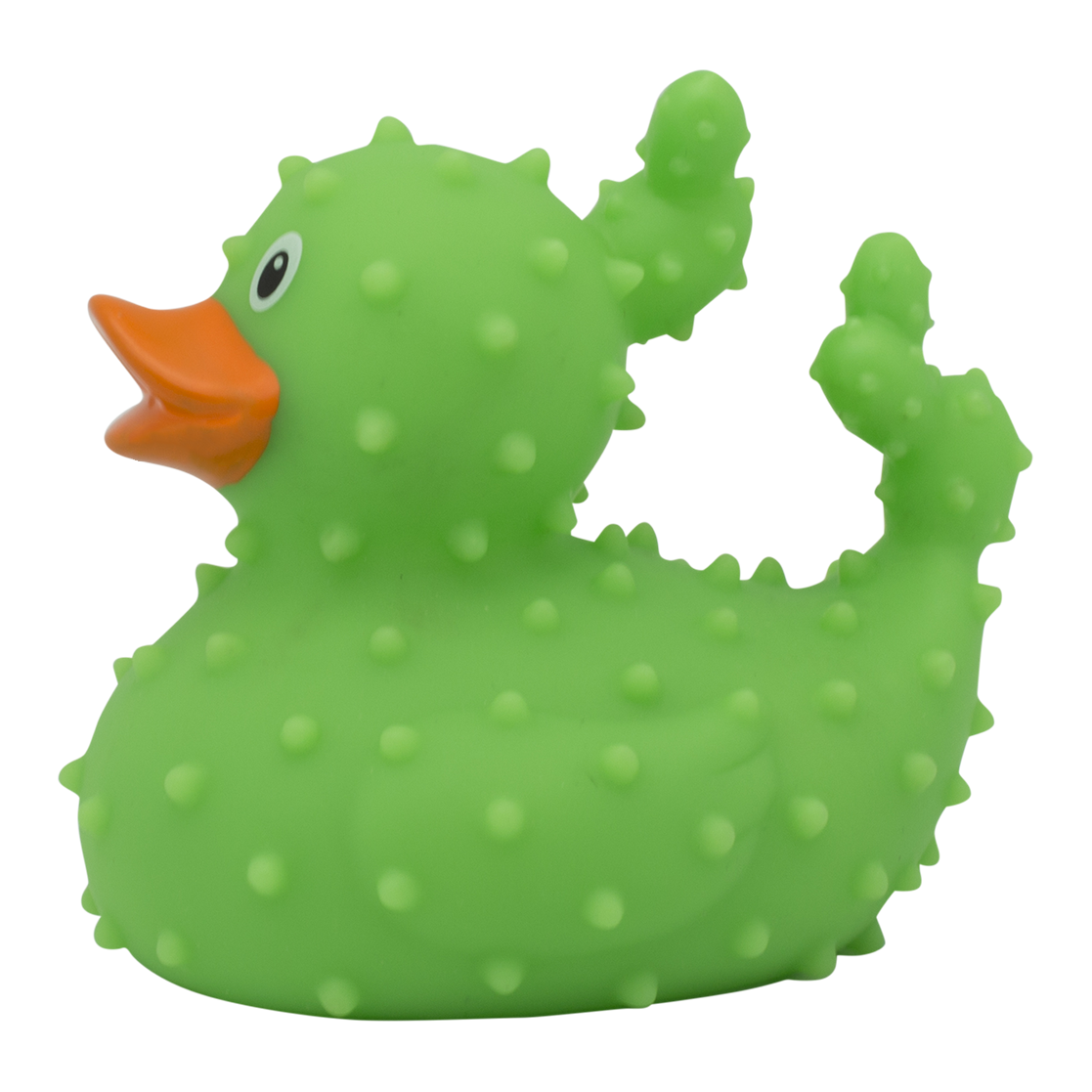 Duck cactus