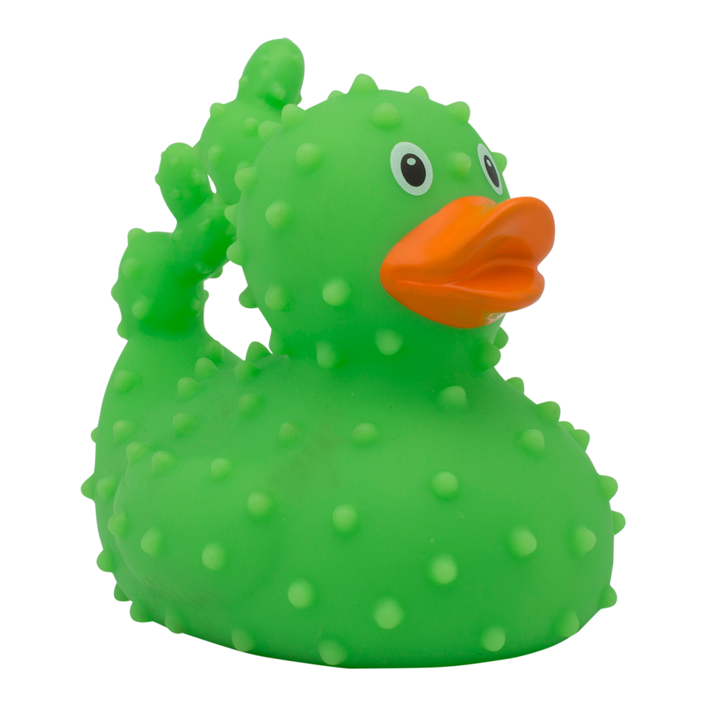 Ente Kaktus