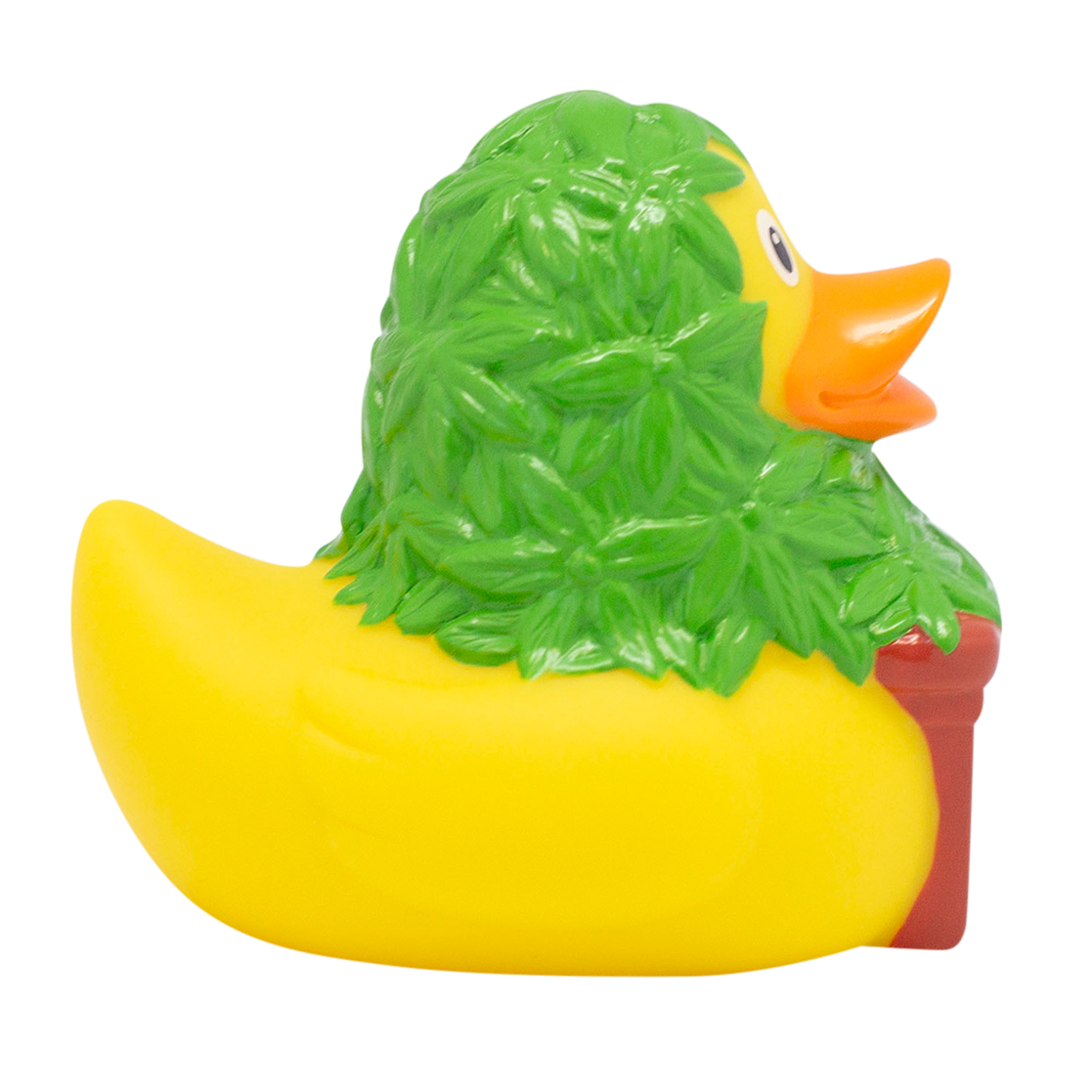 Cannabis duck