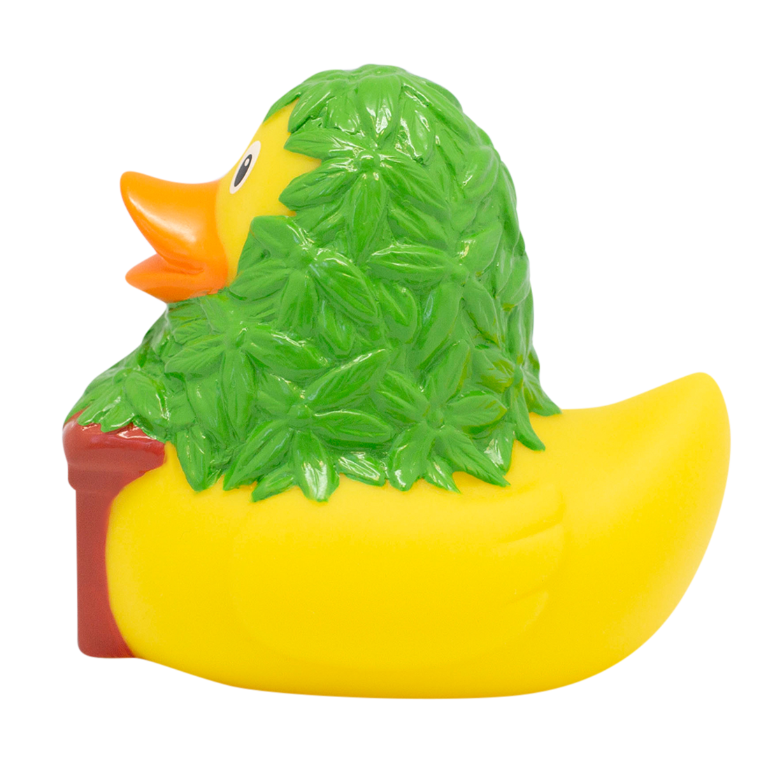 Cannabis duck