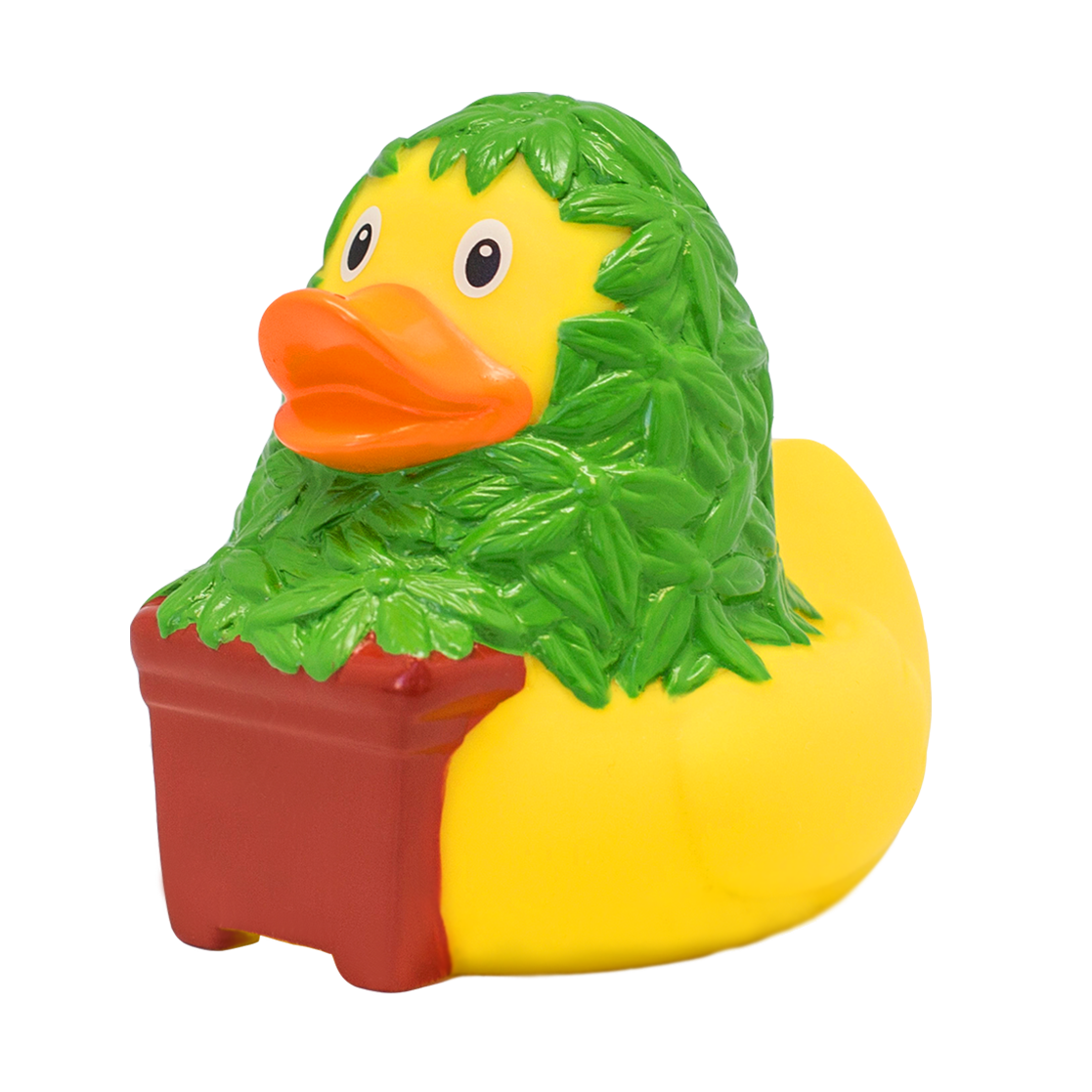 Canard Cannabis