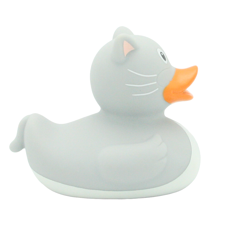 Chat duck