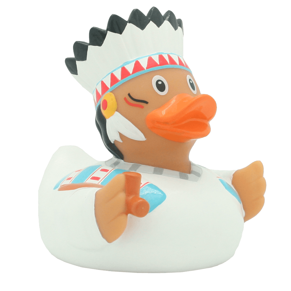 Amerindian duck