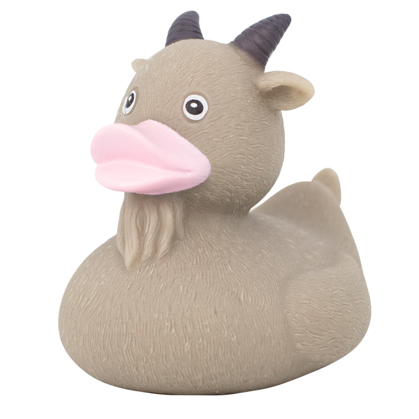 Canard Chèvre