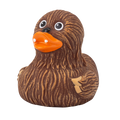 Chewie Duck