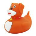 Ente Hund
