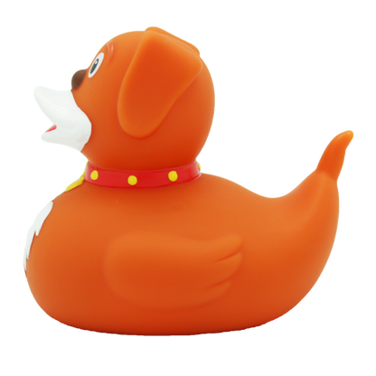Eend Hond