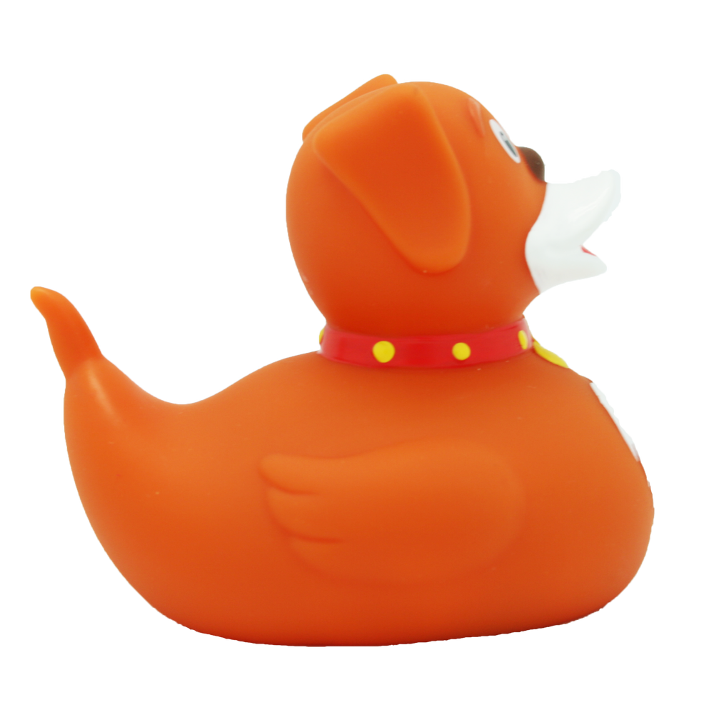 Ente Hund