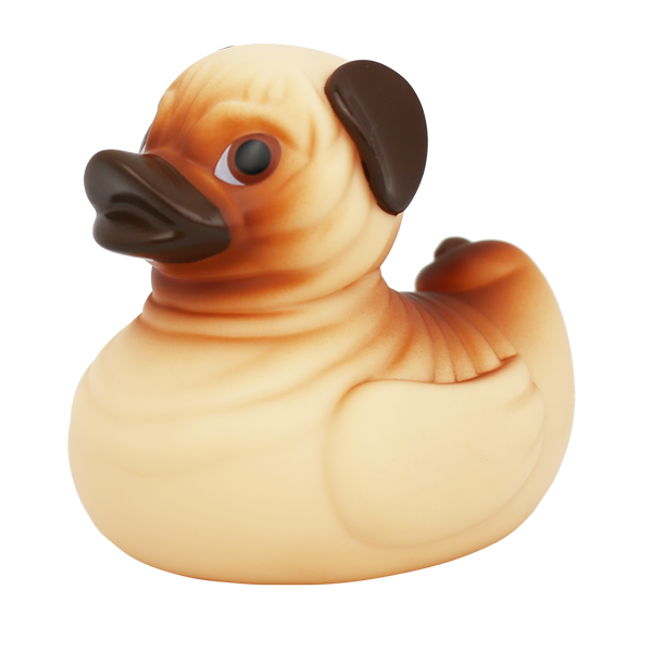 Canard Chien Carlin