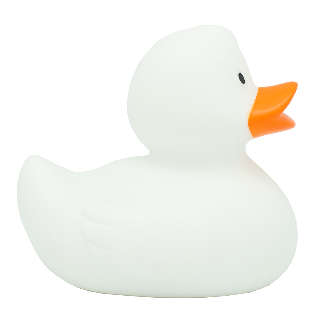 Classic white duck