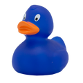 Canard Classique Bleu