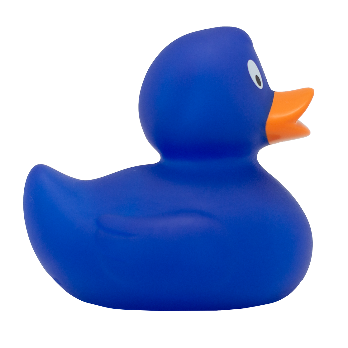 Canard Classique Bleu