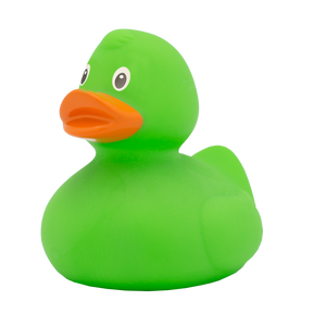 Klassieke groene eend