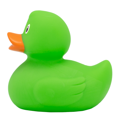 Canard Classique Vert