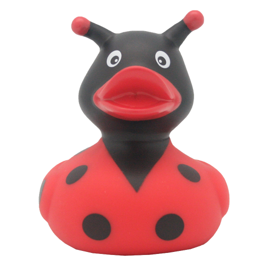 Canard Coccinelle