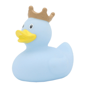 Crown blue duck