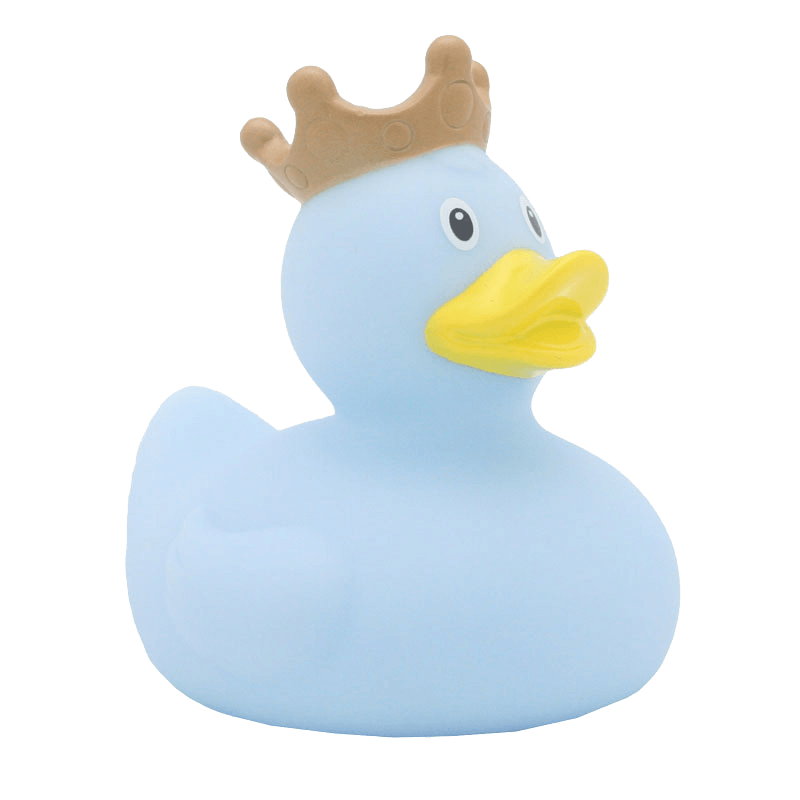 Crown blue duck