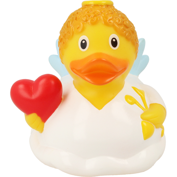 Cupido-eend